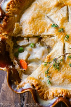 Double crust chicken pot pie makes the BEST comfort food dinner for the whole family! Recipe found on sallysbakingaddiction.com