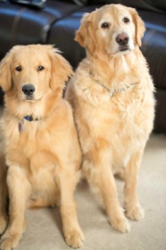 Einstein & Duke on Einstein's 7th Birthday