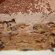 Old Fashioned Chocolate Icebox Cake recipe