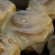 Rhodes Cinnamon Rolls Recipes