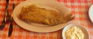 fried catfish - Stroud's,  Fairway