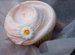 Magnolia Bakery Cupcakes Recipes