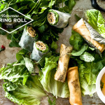 springroll-5l